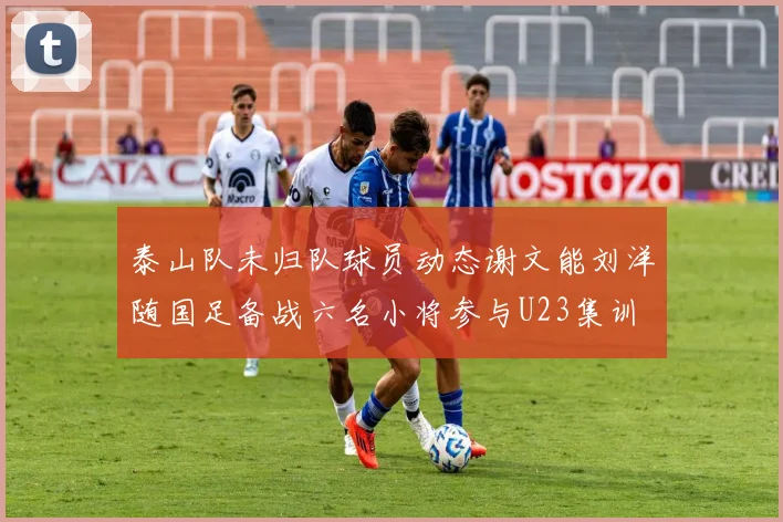 泰山队未归队球员动态谢文能刘洋随国足备战六名小将参与U23集训