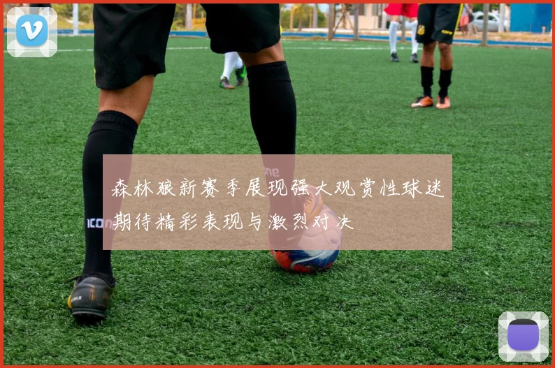 森林狼新赛季展现强大观赏性球迷期待精彩表现与激烈对决